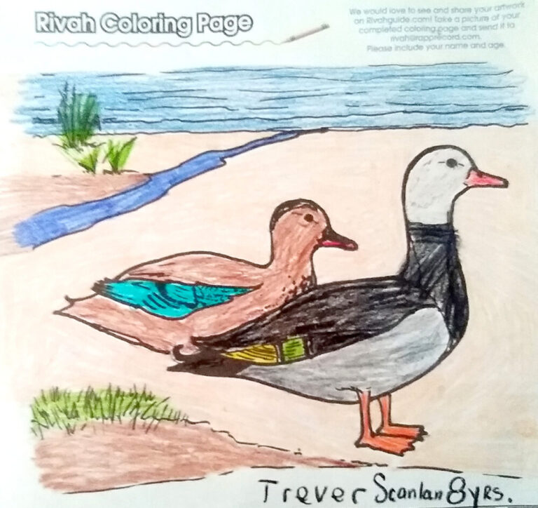 Trever