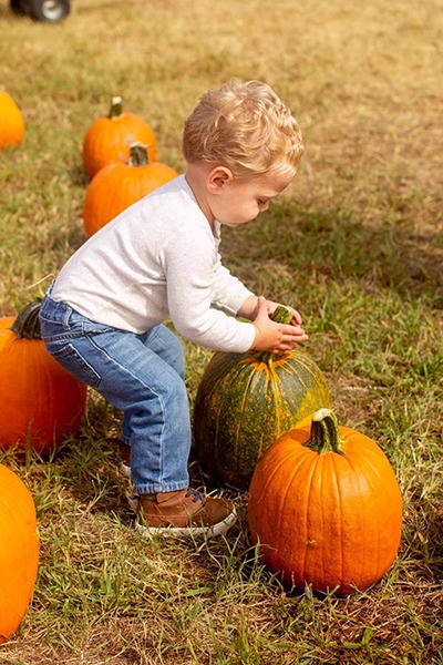 Fall Fun For All