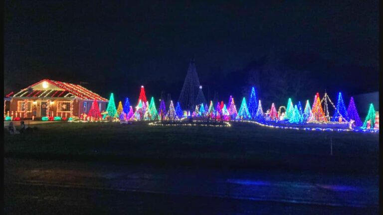 Holiday Happenings
