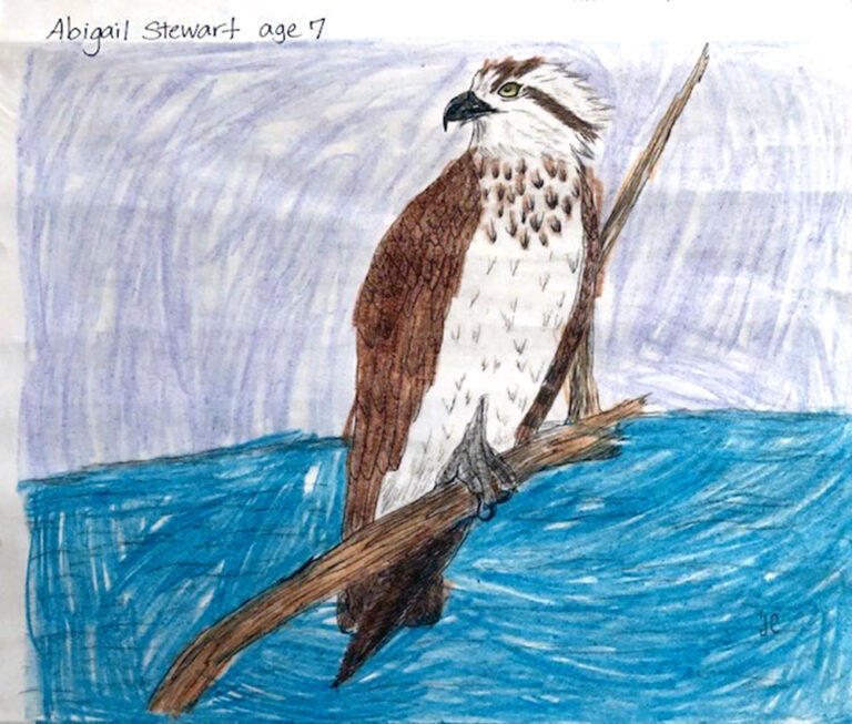 Abigail Stewart, age 7