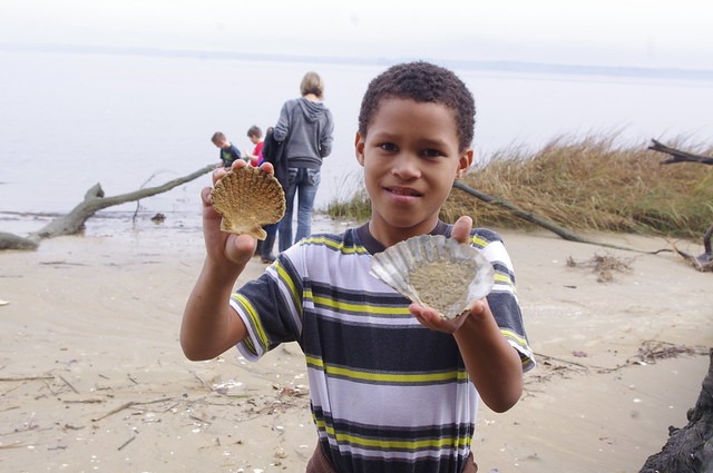 Uncovering treasures is fun for all