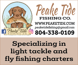 PeakeTide