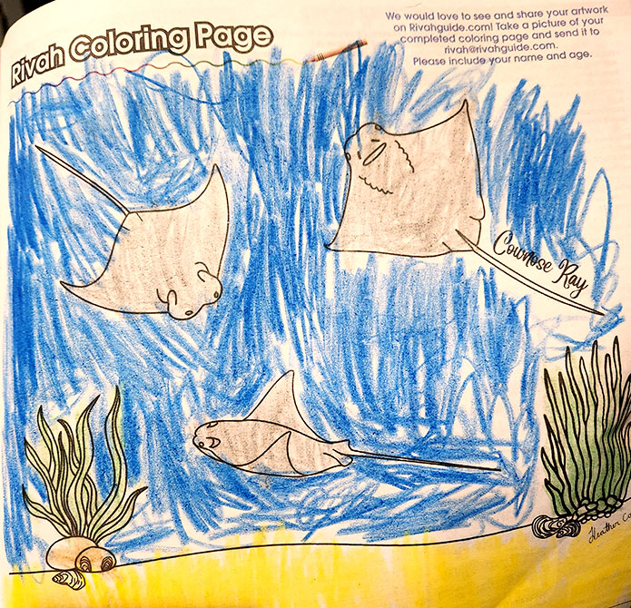 Nolan Davis, age 8